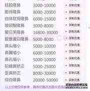 上海九院隆鼻价格表。多少钱？