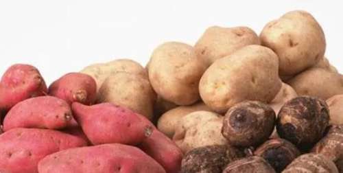 土豆和红薯.jpg