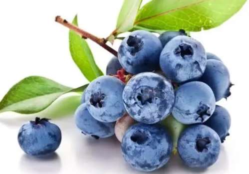 吃什么水果减肥快？这几种水果好吃又减肥！